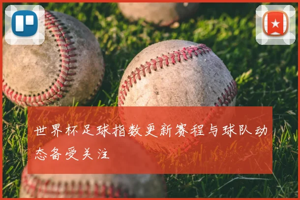 世界杯足球指数更新赛程与球队动态备受关注